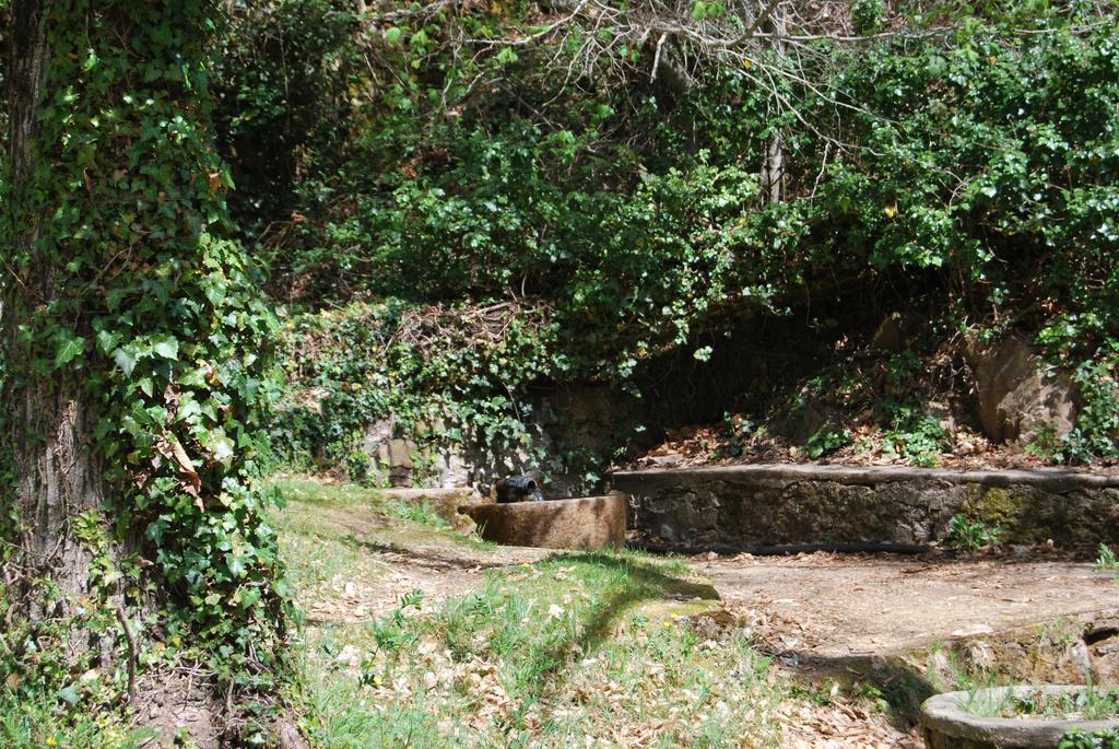 Casa Rural La Cuadraa Linares de Riofrío Exterior photo